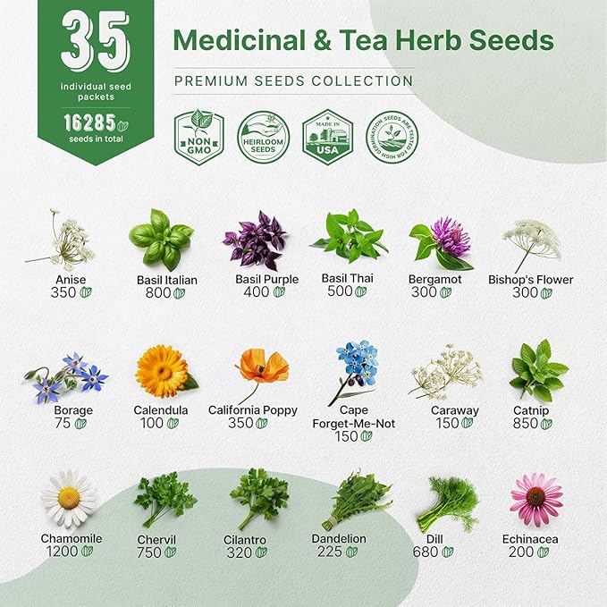 35 Medicinal & Tea Herb Seeds Variety Pack for Indoor & Outdoors. 16,335+ Non-GMO Heirloom Garden Seeds: Anise, Bergamot, Borage, Cilantro, Chamomile, Dandelion, Rosemary Seeds & More - Bloomnest