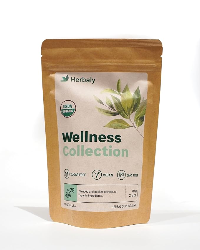 Herbaly Wellness Collection Organic Herbal Ginger Tea, 70 g, 28 Count Bag (Pack of 1) - Bloomnest