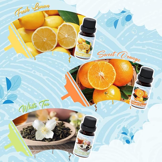 Housekeeping Fragrance Oils Set, Essential Oil Gift Set for Diffuser, Clean Scent Diffuser Oil, Use with Wool Dryer Balls - Lemon, Sweet Orange, White Tea, Fresh Linen, Freesia, Grapefruit - Bloomnest