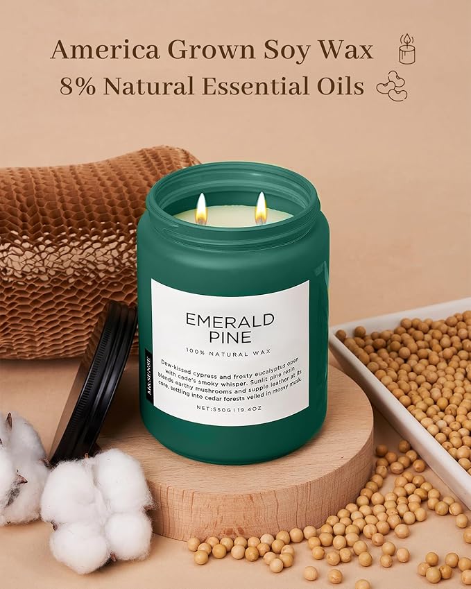 M&SENSE Pine Scented Candles Natural Soy Wax Clean Non Toxic 19.4oz 110 Hours Large Long Lasting Christmas Winter Scented 2 Wicks Candle Gift for Holiday & Family Friends Teachers - Bloomnest