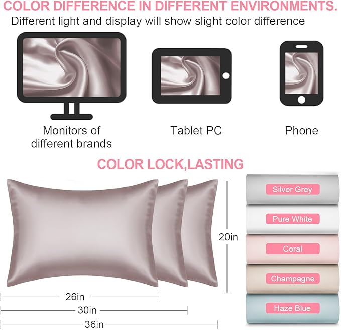 Mulberry Silk Pillow Cases 2 Pack Queen Size 20x30 Inches with Hidden Zipper, Ultra Smooth and Soft Breathable Cooling Silk Satin Pillowcase Set of 2, Better for Hair and Skin, Gifts for Women Men - Bloomnest