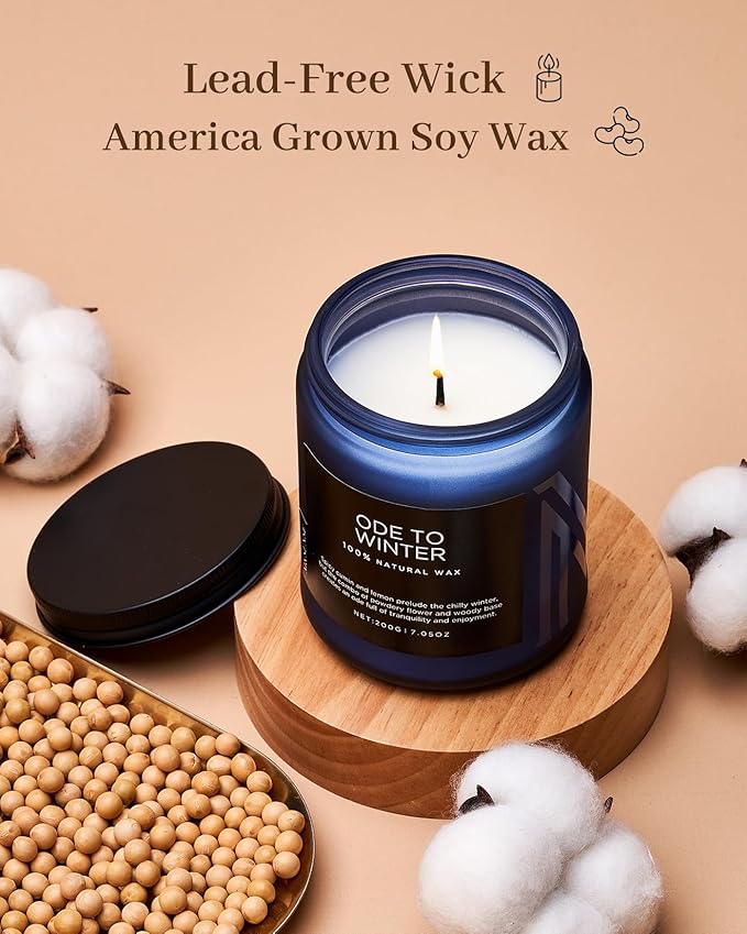 M&SENSE Ode to Winter Scented Candle for Home Natural Soy Wax Non Toxic Cotton Wick Winter Scent, 7.05oz Up to 50 Hours Burn Time Gifts for Christmas Holiday - Bloomnest