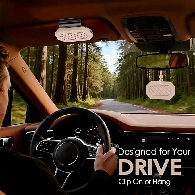Car Air Freshener, 2-in-1 Stone Car Freshener with Visor Clip & Hanging Scent Diffuser, Natural Scent Stone Diffuser, Long-Lasting Odor Eliminator for Car or Home, Textured Pine - Bloomnest