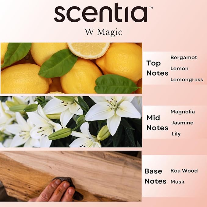 Scentia W Magic Hotel Diffuser Oil Inspired by W Signature Hotel - 20 mL 0.67 fl oz - Aromatherapy Oil for Diffusers, Candle Making & DIY Crafts - Bloomnest