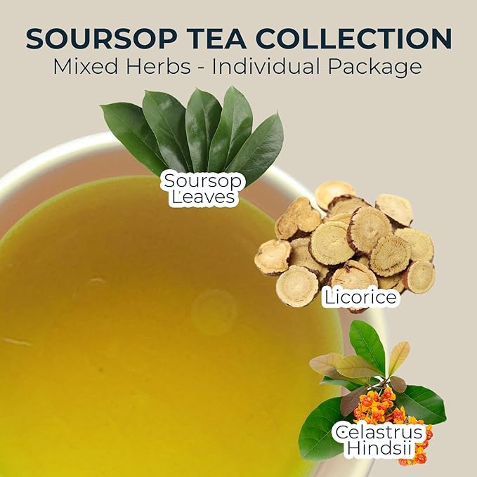 Soursop Leaf Tea with Celastrus Hindsii & Licorice - 55 Count (+5 Tea Bags) - 4.44 oz, Bamboo Tong Include, Re-Steep Corn Based Tea Bags, Natural Herbal Tea for Comfort Relax - Bloomnest