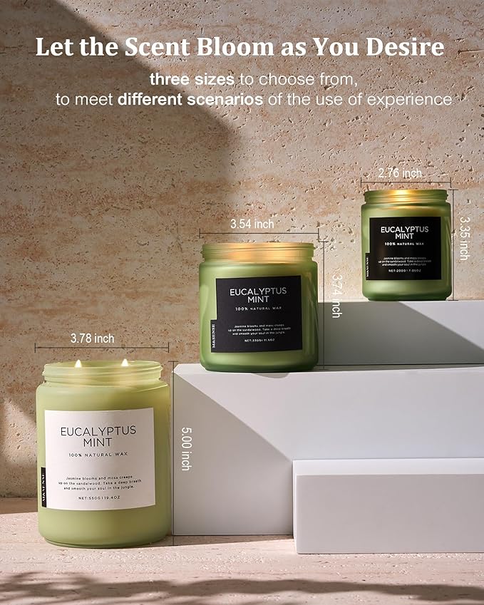 M&SENSE Eucalyptus & Mint Candles for Home Scented, 19.4oz 110 Hours Burn Soy Aromatherapy Candle Gift for Stress Relief, Meditation, Yoga, Relaxing SPA, Natural Soy Wax for Men and Women - Bloomnest