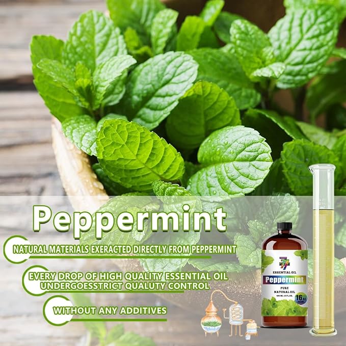 Peppermint Essential Oil (16 oz/480 ml) — Peppermint Oils for Aromatherapy, diffusers, humidifiers, Home fragrances, DIY Skin Care, Soap Making, DIY Candle, Yoga, and Meditation - Bloomnest