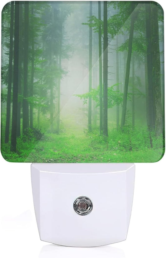 Misty Forest Night Light, Fantasy Green Tree Night Lights Plug Into Wall with Dusk to Dawn Sensor Wall Lamp, Nightlights for Bedroom, Bathroom, Hallway, Kitchen, Gifts Ideal for Girls Women - Bloomnest
