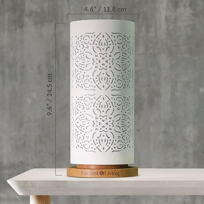 Earnest Living Waterless Diffuser 100ml Nebulizing Diffusion System for Large Ambient Space Studio Home Office Hotel Spa - Bloomnest