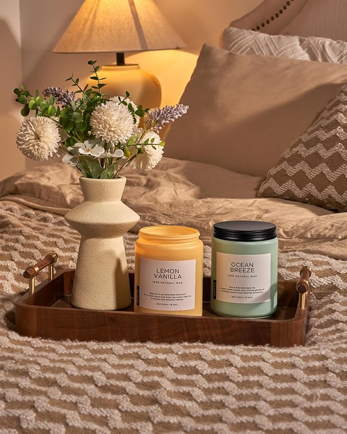 M&SENSE Candles Lemon Vanilla Scented, 19.4oz 110 Hours Long Lasting for Home 2 Wick Natural Soy Wax Non Toxic Candles in Glass Jar, Stress Relief Gifts for Women and Men - Bloomnest