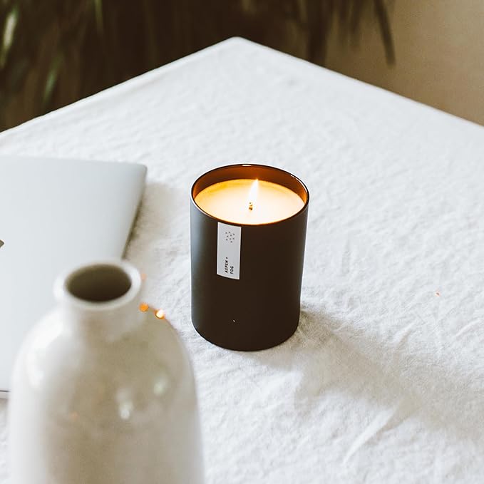 Calyan Wax Co. Aspen & Fog Scented Candle - 75 Hour Burn - Luxury Non Toxic Soy Wax Candles - Long Lasting Black Tumbler Jar Candle for Home - 10.2oz - Bloomnest