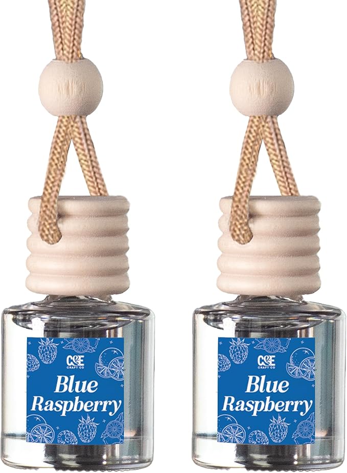 CANDECraftCo Car Air Hanging Fragrance Oil, Car Auto Freshener for Essential Oils, Scents Fragrance Aromatherapy Automobile Diffuser, Long Lasting (Blue Raspberry) - Bloomnest