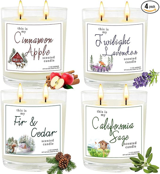 4 Pack Large Jar Candles with Double Wicks, Scented Candles for Home, 11.3oz Each, 240 Hour Burn Time, Aromatherapy Gift Set for Women, Cinnamon Apple, Lavender, Fir & Cedar, California Sage - Bloomnest