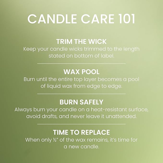 Yankee Candle Green Apple Sorbet Scented Candle, 22oz Large Jar with up to 150 Hour Burn Time, Giftable - Bloomnest