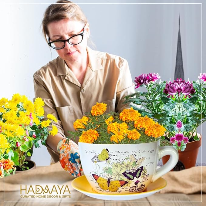7.5” Round Ceramic Teacup Shape Planter Pot with Saucer for Succulents Orchid Herbs Cactus Indoor Houseplants Flowers for Home Garden and Event Decor Yellow Butterfly Garden - Bloomnest