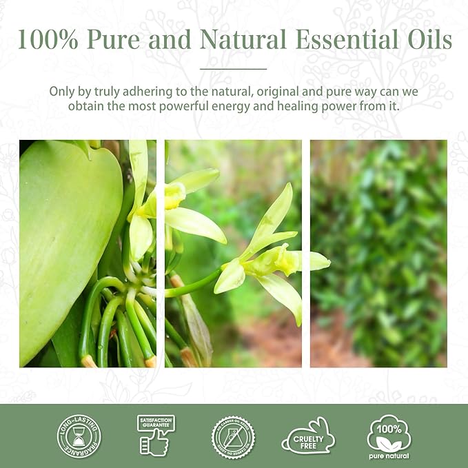 Vanilla Essential Oil, 1.01Fl.Oz (30ML) PHATOIL Pure Essential Oil Singles for Aromatherapy Diffusers, Humidifiers, Great for DIY Candle and Soap Making, Gift for Friend - Bloomnest