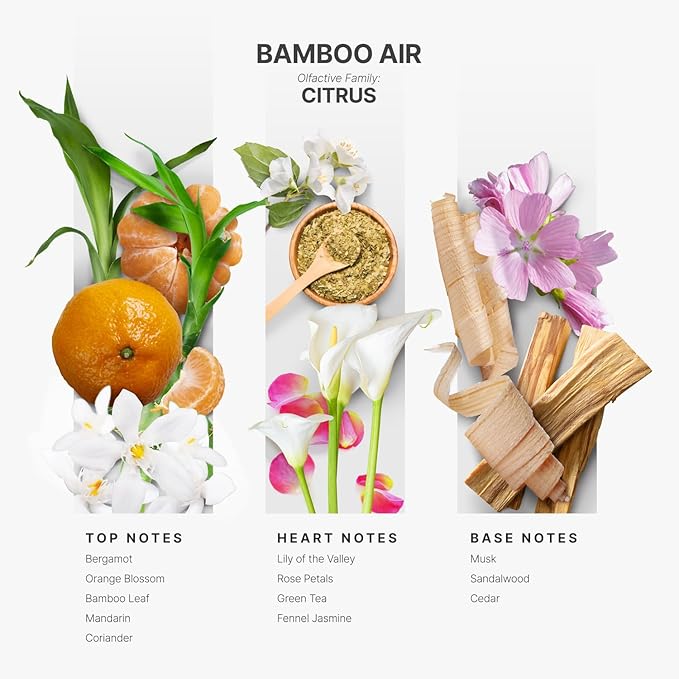 AromaPlan Hotel Scents Bamboo Air 5 Fl Oz (2 Pack), Luxury Aroma & Hotel Fragrance Diffuser Oil- Hotel Diffuser Oil for Aromatherapy- USA Made, Bigger Bottle, Bolder Aroma & Longer Lasting - Bloomnest