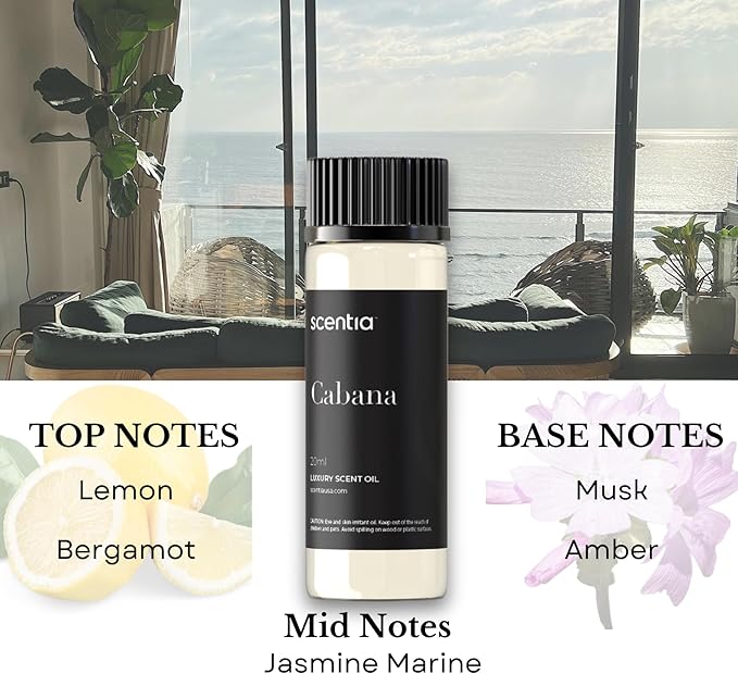 Scentia Hotel Diffuser Oil | Aromatherapy Fragrances Inspired by 5-Star Hotels | Luxurious Scents Gift Set - 3 x 20ml Bottles Set - The 1 Hotel Miami, W Hotels - Thanksgiving & Holiday Gift - Bloomnest