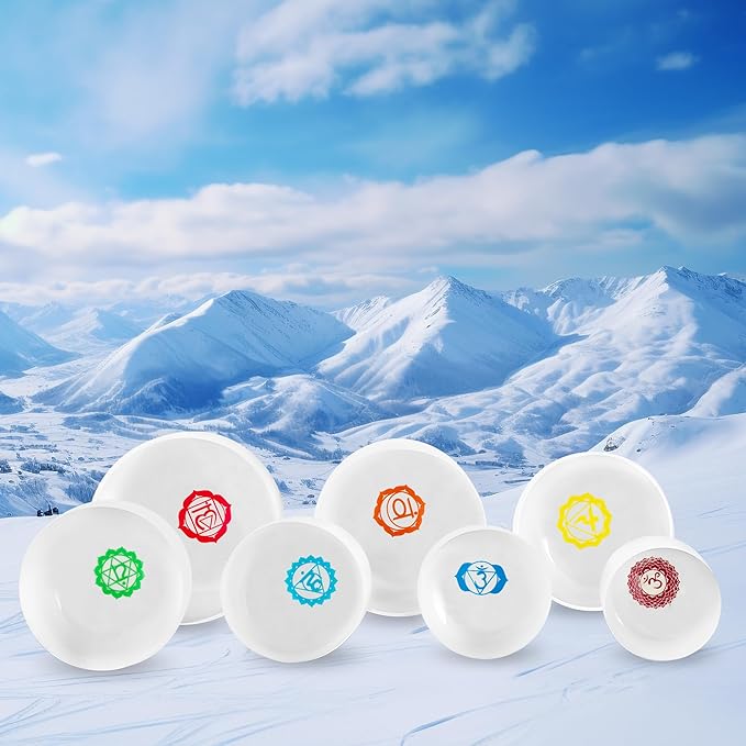 Ryan Dvan 432Hz 7-12 Inch 7 Chakra Design Crystal Singing Bowl Set Frosted Quartz Crystal Sound Therapy Kit with Mallets 2 Cases O-Ring for Yoga Meditation Energy Balancing Reiki Healing - Bloomnest