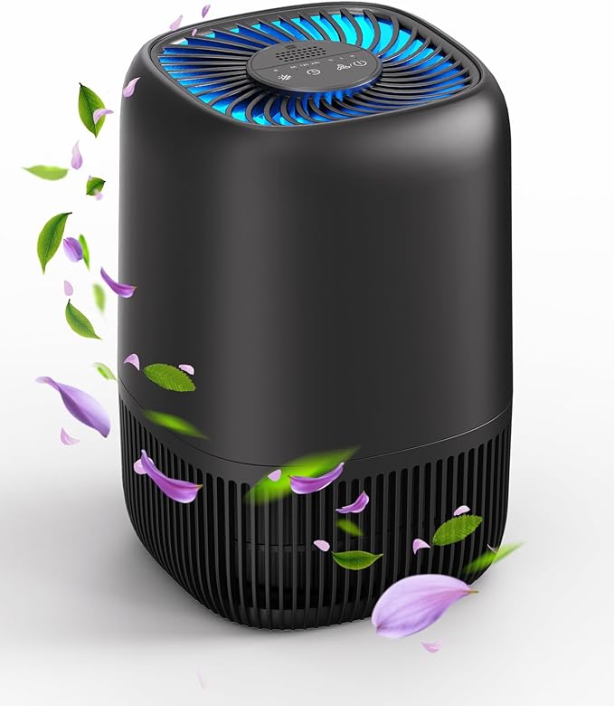 Air Purifiers for Office with H13 True HEPA Filter Up to 1076 Ft² for Pet Family, Pollen, Smoke, Compact Air Cleaner with 3 Speeds, Timer, Aroma Quiet, 360°Intake, for Home Bedroom, Black - Bloomnest