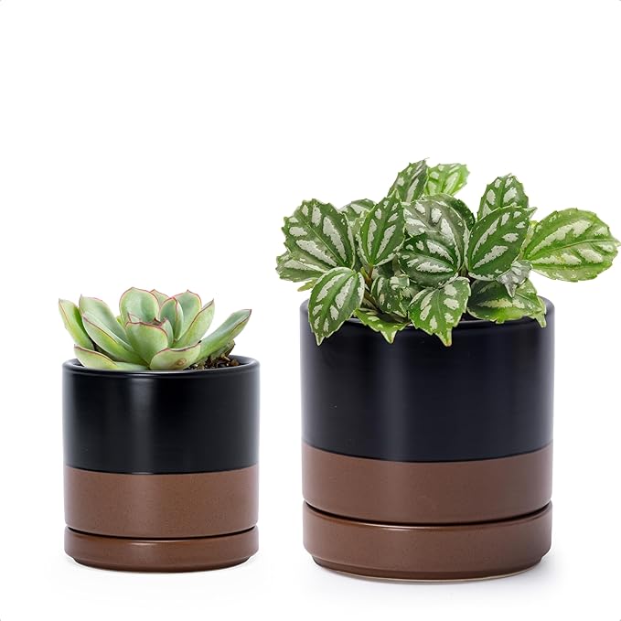 D'vine Dev 3.5 Inch & 4.7 Inch Ceramic Planter Pots for Plants with Drainage Hole and Saucer, X-Small Plant Pots Set, Black/Speckled Tan, 94-G-XS-7 - Bloomnest