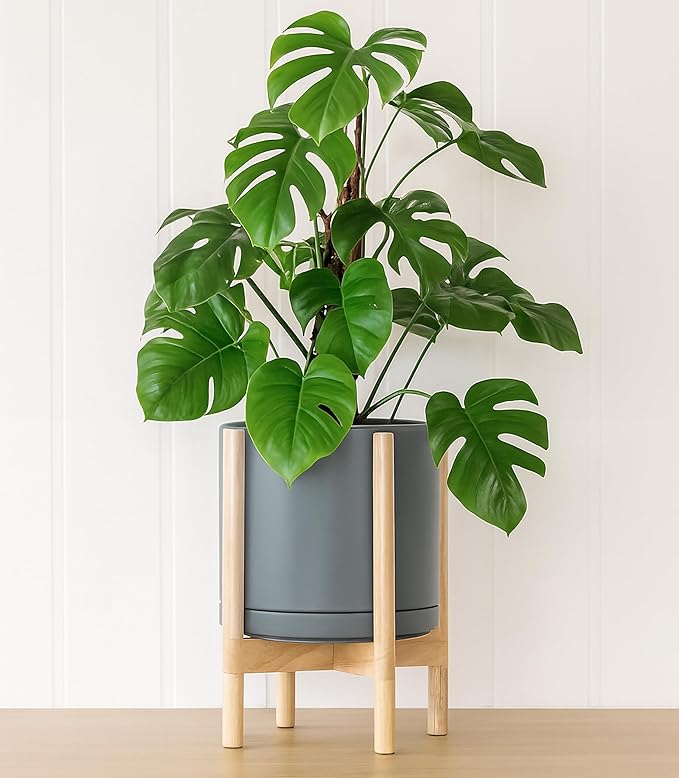 D'vine Dev Ceramic Planter with Natural Stand - 12 Inch Modern Round Flower Pot with Wood Planter Holder, Grey, 55-B-J-3 - Bloomnest