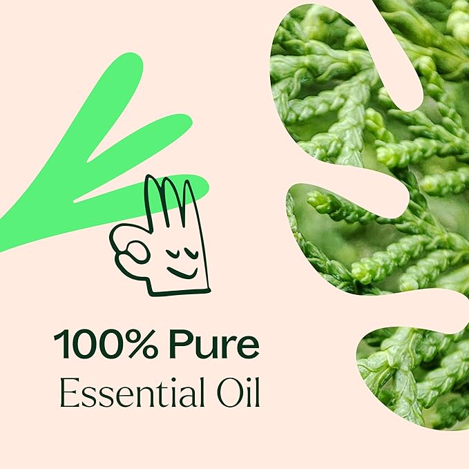 Plant Therapy Deodorizing Essential Oil Blend 30 mL (1 oz) 100% Pure, Undiluted, Therapeutic Grade PlantTherapy