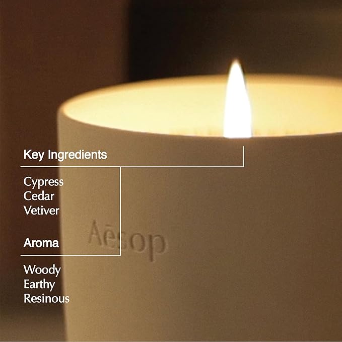 Aesop Ptolemy Aromatique Candle | Resinous, Earthy, Woody Scented | 55-65 Hour Burn Time | Vegan-Friendly | 10.5 oz - Bloomnest