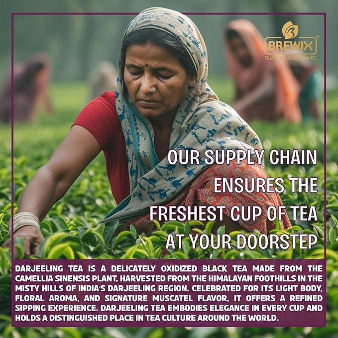 BREWIX, Darjeeling Tea Leaves from Hills of Himalayas (50+ Cups, 3.53oz/100g) | Pure Loose Leaf Darjeeling Black Tea | Long Leaf Grade | Straight From Source In India - Bloomnest