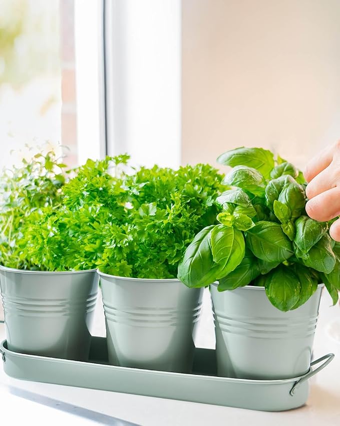 vensovo Indoor Herb Planter Set - Galvanized Windowsill Garden Pots with Tray & Drainage, Set of 3 Metal Window Planters for Kitchen & Outdoor Use, Light Green - Bloomnest