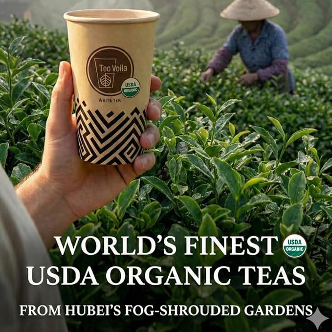 TeaVoila Instant Brew Tea in A Cup - Organic Loose Leaf White Tea – Tea Infuser Built In Biocompostable 6 Cups, Each Refillable 3x, 18 Servings in Total – No Tea Bags Needed, For Office & Travel