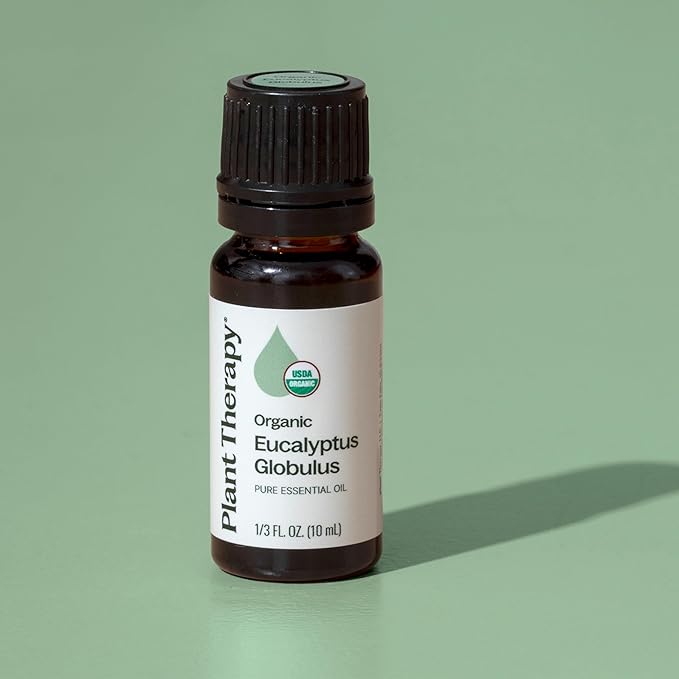 Plant Therapy Organic Eucalyptus Globulus Essential Oil 100% Pure, USDA Certified Organic, Undiluted, Natural Aromatherapy, Therapeutic Grade 10 mL (1/3 oz) - Bloomnest