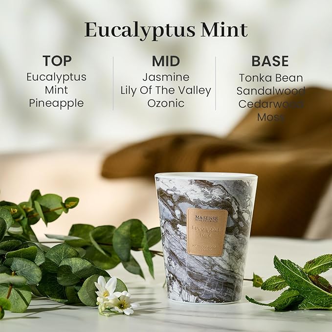 M&SENSE EucalyptusMint Scented Candles for Home, Lead-Free Wick Highly Scented Jar Candles, 14.1 Oz 80 Hours Lasting Burning Candles Gifts for Women, Relaxing Aromatherapy Candle for Stress Relief - Bloomnest