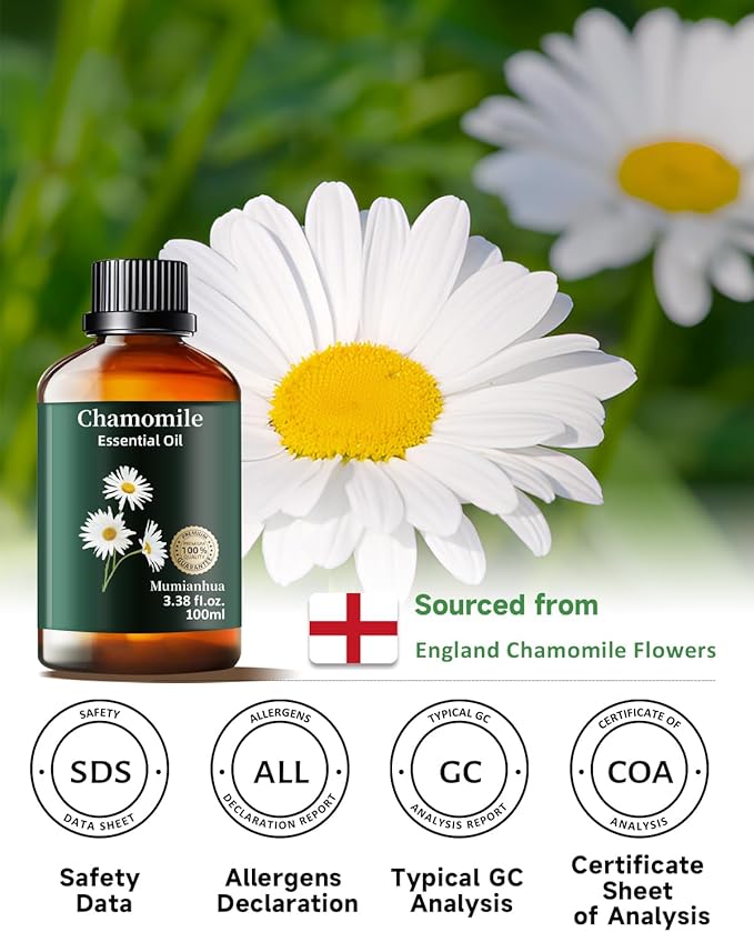 Chamomile Essential Oil Pure, Mumianhua Natural Chamomile Oil Therapeutic Grade Aromatherapy Oil for Skin, Diffuser, Aromatherapy, Candle Making, Soap Making, Hair 3.38 Fl Oz - Bloomnest