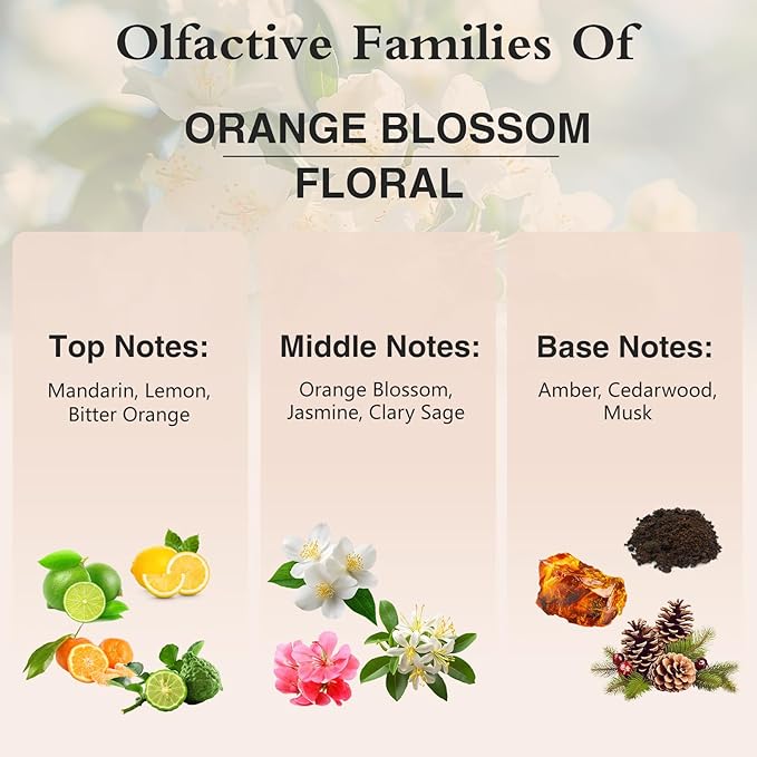 100ML/3.38fl.oz Orange Blossom Fragrance Oils, PHATOIL Orange Blossom Oil for Diffuser, Humidifier, Scented Oils for DIY Soap, Candle Making with Premium Glass Dropper - Bloomnest