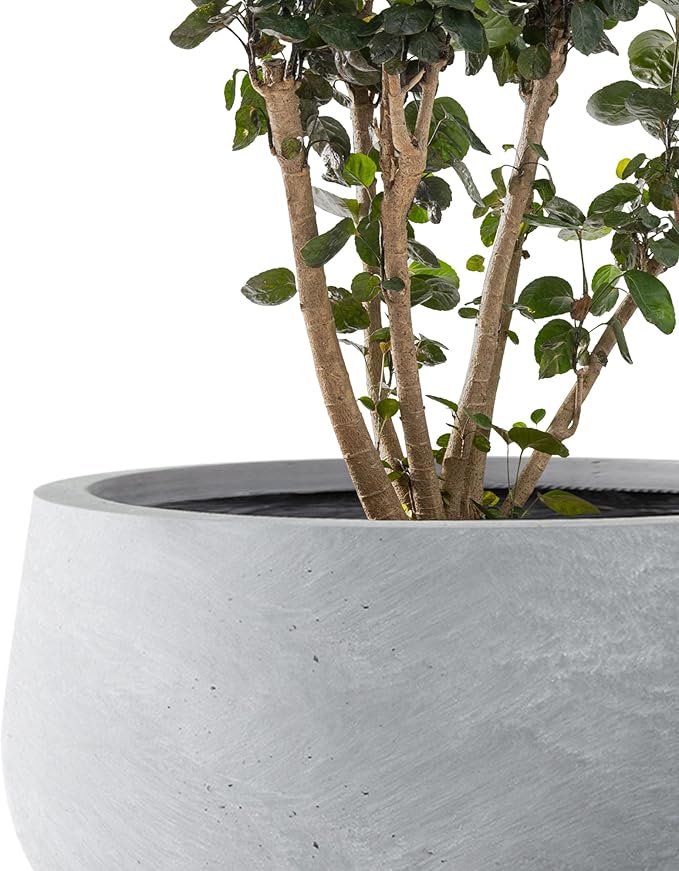 Kante 19.6",15.7",11.8" Dia Round Concrete Planters Set of 3, Cement Plant Pots with Drainage Hole and Rubber Plug for Outdoor Indoor Garden Home, Modern Curvaceous Design, Gray - Bloomnest