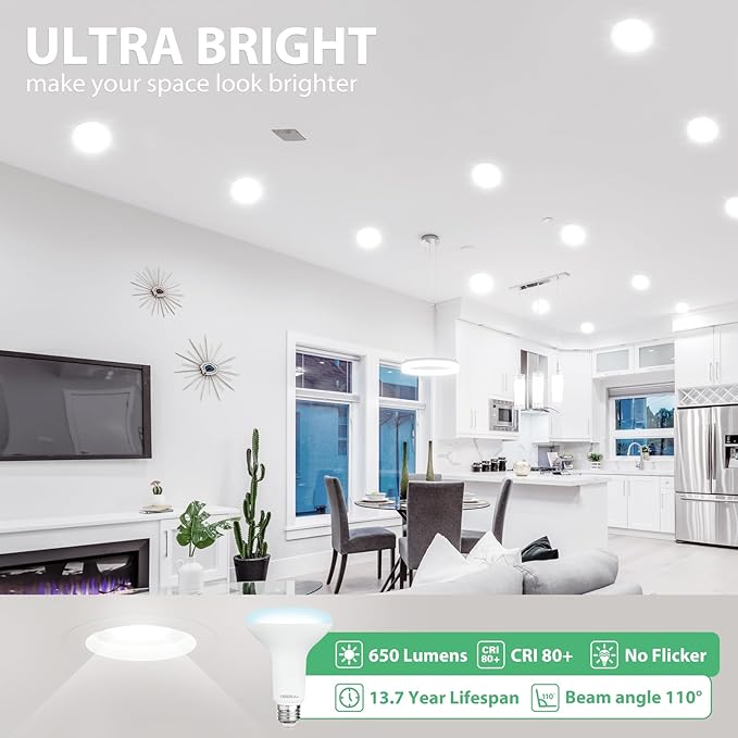 BR30 LED Bulb, Dimmable Flood Lights Indoor CRI80 7W Equivalent 65W 5000K Daylight 650 Lumens, 15000 Lifetime Hours Recessed Light Bulbs, Interior E26 Base LED Can Light Bulbs, 6 Pack - Bloomnest