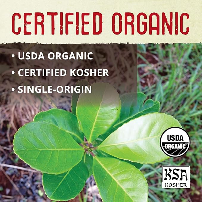 ECOTEAS Premium Organic Yerba Mate Tea Bags – Natural Energy & Detox Herbal Tea – Coffee Alternative - Kosher, Non-GMO, Gluten-Free - 100 Unsmoked Bulk Bags, 8.8 oz (Pack of 2) - Bloomnest