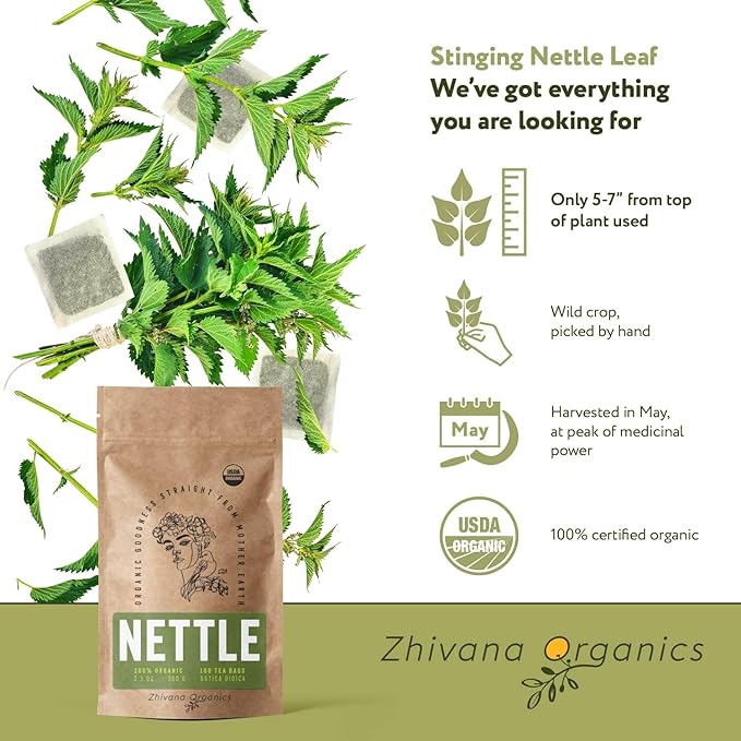 Stinging Nettle Tea Organic (100 Tea Bags) - Stinging Nettle Leaf, Ortiga Verde Organica, Urtica Tea - Bloomnest