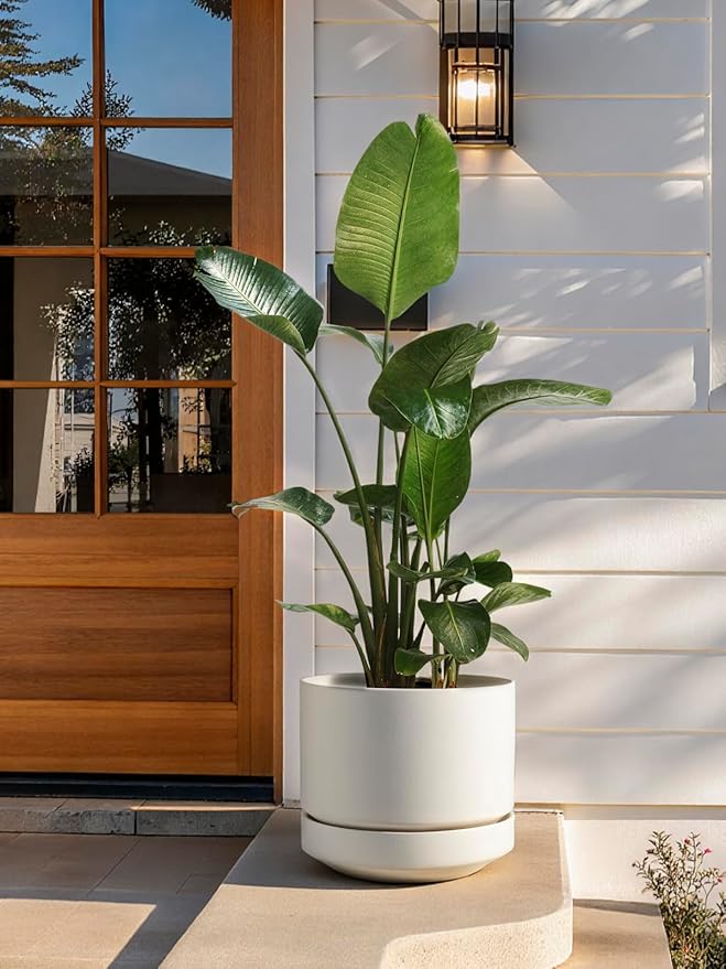 LE TAUCI Large 14 Inch Plant Pot with Saucer | Ceramic Outdoor & Indoor Big Planter Pot | Drainage Hole, Mesh Pad & Plug | Unglazed Porous | Modern Minimalist for Home and Patio – Chalk White - Bloomnest
