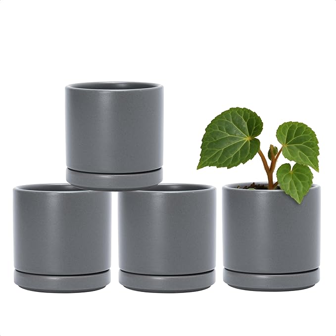 D'vine Dev Set of 4 Small Ceramic Plant Pots, 3.5 Inch Succulent Planter Pot for Plants with Drainage Hole and Saucer, Grey, 94-X-A-3 - Bloomnest