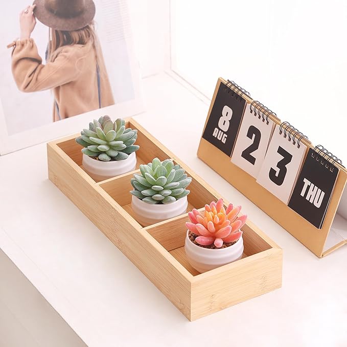 Tiita Artificial Faux Succulents in Pots Fake Plants Ceramic Arrangement Planter for Women Desk Small Mini Tiny Decoration for Home Office Desk Window - Bloomnest