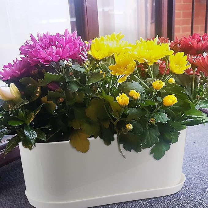 Window Box Planter with Saucers,10 Sets Rectangular Planter with Multiple Drainage Holes and Trays Plant Pots, for Succulent Cactus Flowers Vegetable - Bloomnest