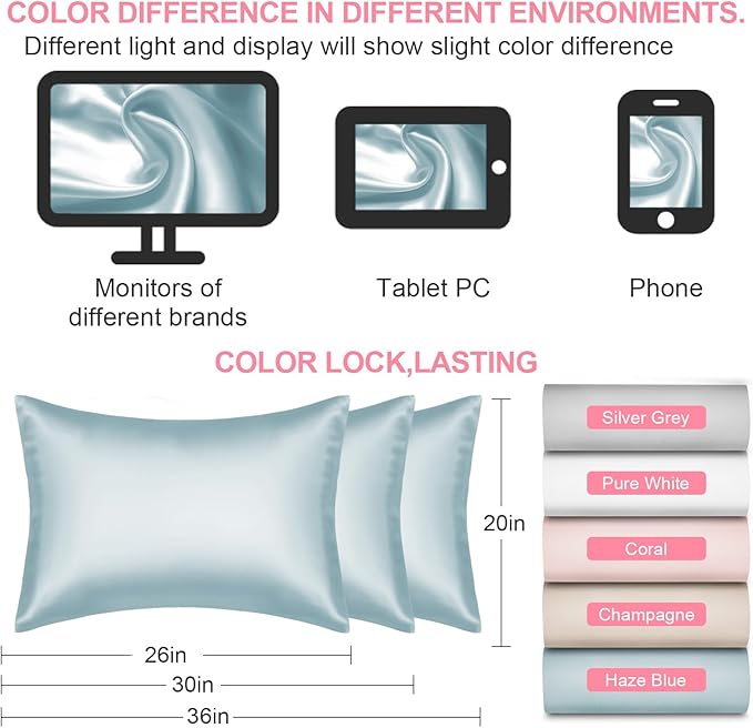 Mulberry Silk Pillow Cases Queen Size with Hidden Zipper, Ultra Smooth and Soft Breathable Cooling Silk Satin Pillowcase for Hair and Skin, Gifts for Women Men (Haze Blue, 20x30 Inches, 1 Pack) - Bloomnest