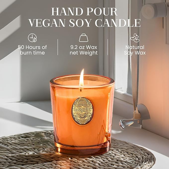 M&SENSE Natural Fresh Soy Candle | Orange Goji & Neon Orange | 9.2 oz, 50H Burn Time | Luxury Scented Candle for Relaxation, Gifting, Home Décor | Ideal for Bedroom, Office, Party Ambiance - Bloomnest