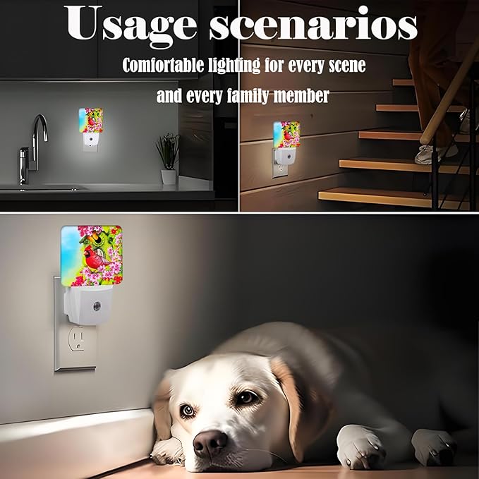Red Cardinal Night Light,Plug-in Night Lights with Dusk to Dawn Sensor for Stairway,Hallway,Bedroom Sleep Friendly Ideal for Women/Girls/Boys Gift,0.5w - Bloomnest