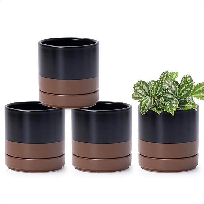 D'vine Dev Set of 4 Small Ceramic Plant Pots, 4.7 Inch Succulent Planter Pot for Plants with Drainage Hole and Saucer, Black/Speckled Tan, 94-X-B-7 - Bloomnest