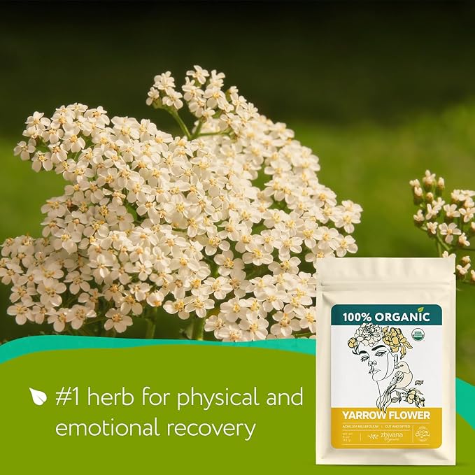 Super Value Pack 5 LB - Yarrow Flower Tea Organic - Dried Yarrow Herb Loose Leaf - Herbal Tea to Support Healthy Immune Function & Relaxation - Bloomnest