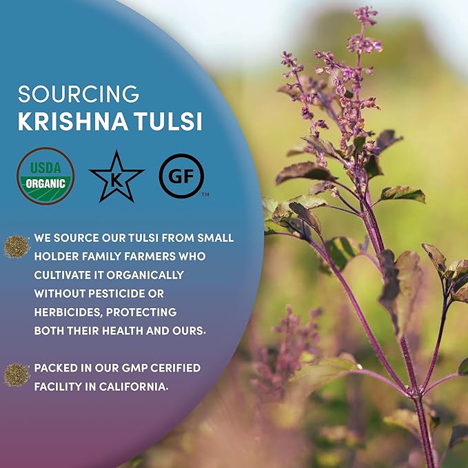 Worldwide Botanicals Organic Holy Basil Tea, 8oz - Tulsi Krishna - Loose Leaf Premium Herbal Tea, 100% Pure Tulsi Holy Basil, Fair Trade, Adaptogenic, Kosher - Bloomnest