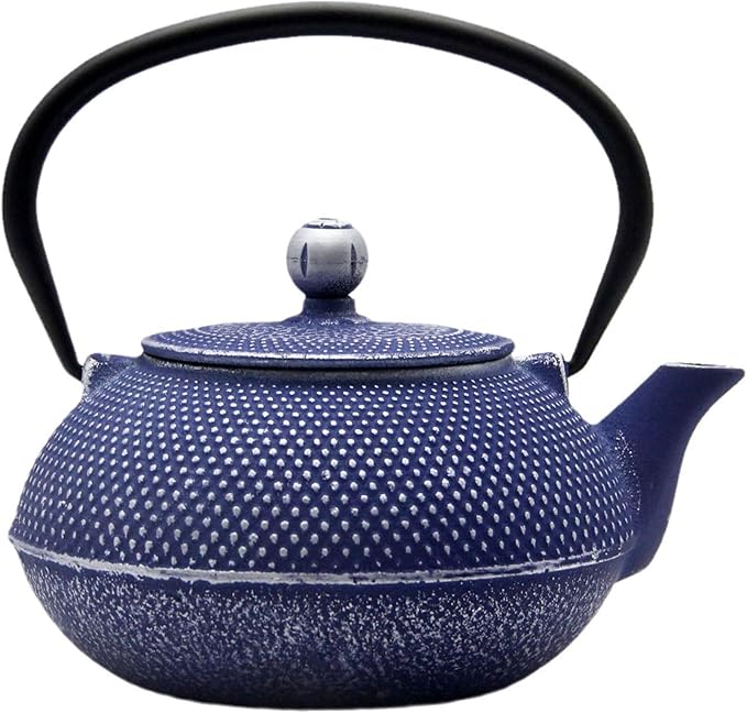 Cast Iron Teapot Tea Kettle with Stainless Steel Infuser for Stovetop Safe Coated with Enameled Interior Japanese Dark Blue Tetsubin for Loose Tea(30.4oz/900ml) - Bloomnest